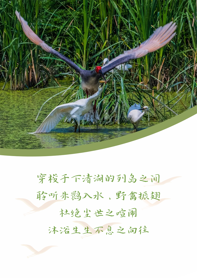 心心念廿 相伴G22恒峰 | 与德清相约 贺廿载诞辰